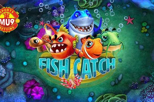 Fish Catch: Lựa chọn giải trí hoàn hảo cho game thủ